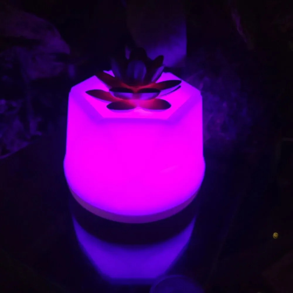 Succulent Color-Changing Night Light Lamp Waterless Essential Oil Diffuser Aroma
